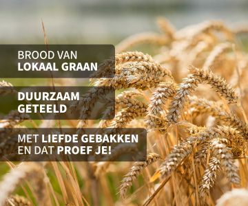 meesterbakkervoskamp introduceert nedertarwe