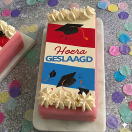 176351 mv geslaagd chipolata